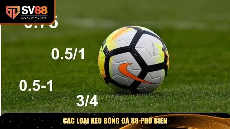 Các loại kèo bóng đá 88 phổ biến