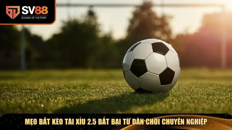 Mẹo bắt kèo Tài Xỉu 2.5 bất bại từ dân chơi chuyên nghiệp